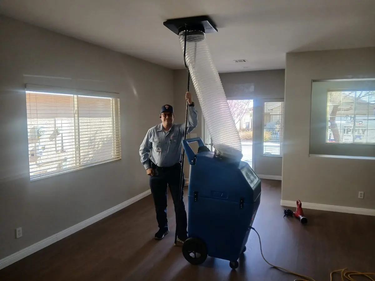 Professional Dryer Vent Cleaning work inside a Bloomington home